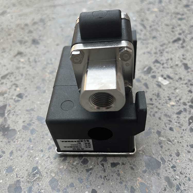 DPS300A-可調壓差開關-(5)